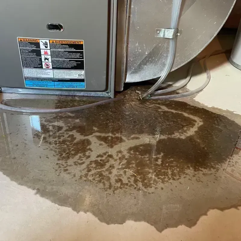 Appliance Leak Cleanup in Marceline, MO